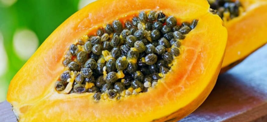 Benefici e usi della papaya fermentata