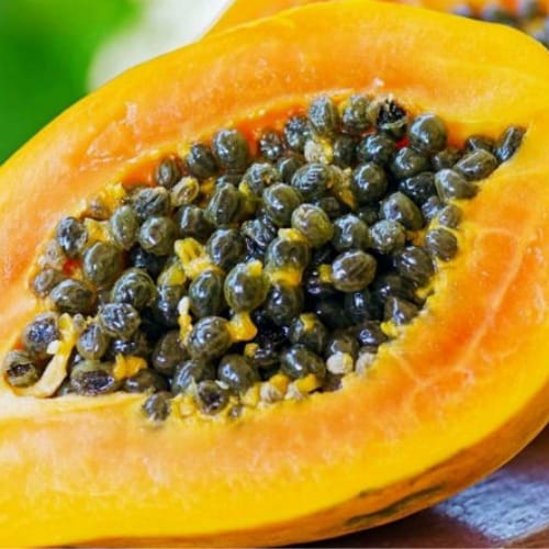 Benefici e usi della papaya fermentata