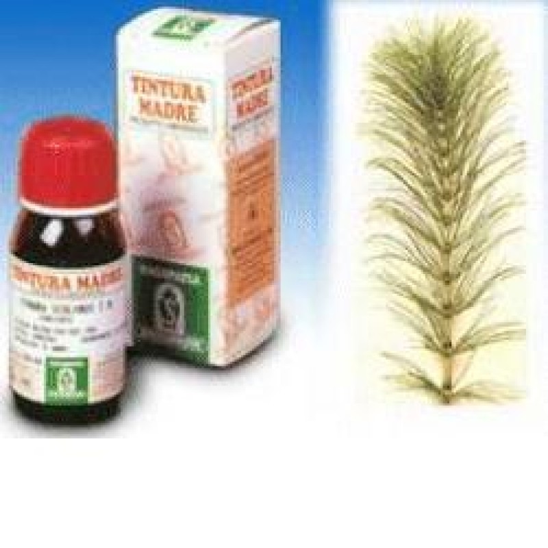 Specchiasol Equiseto 12 Tintura Madre 50 ml