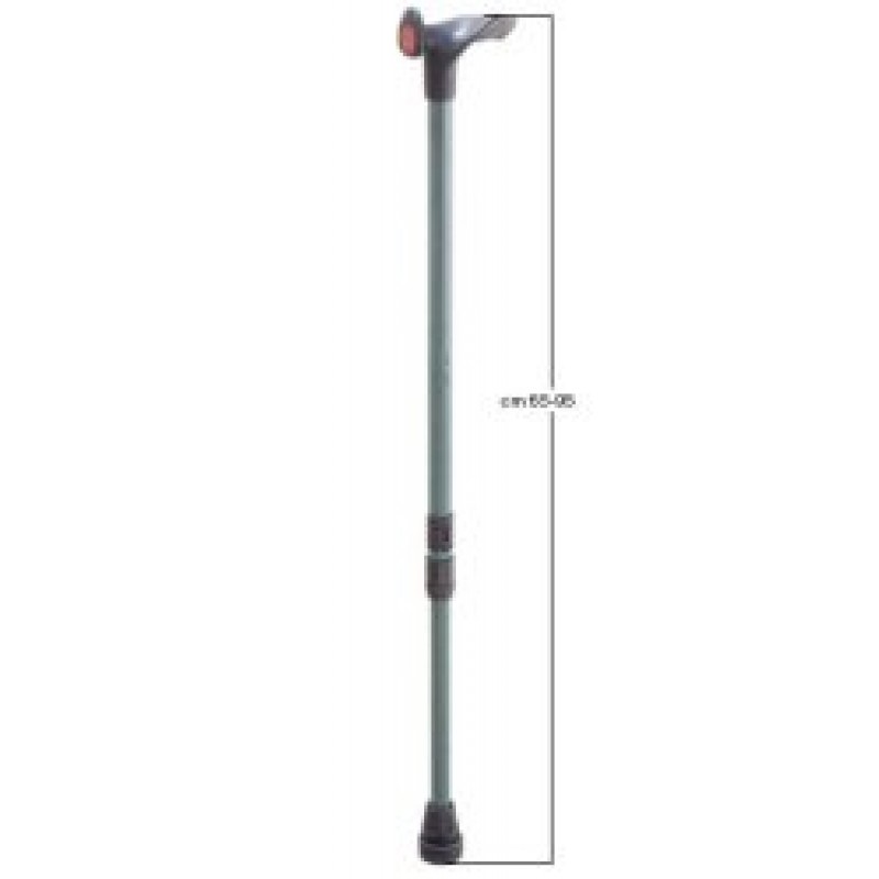 BASTONE IMPUGN PALM DX