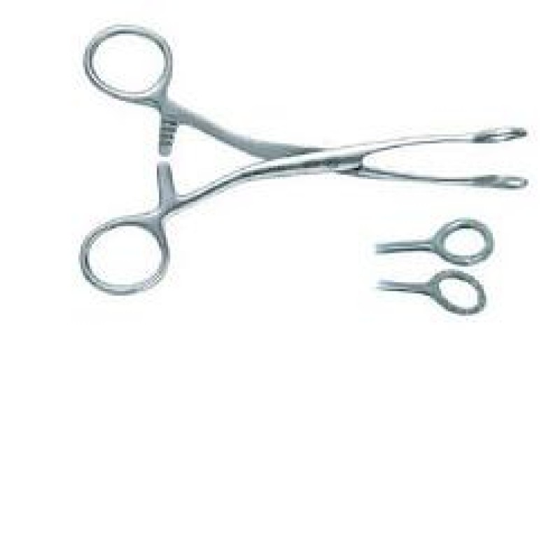 Safety Collin Pinza Tiralingua