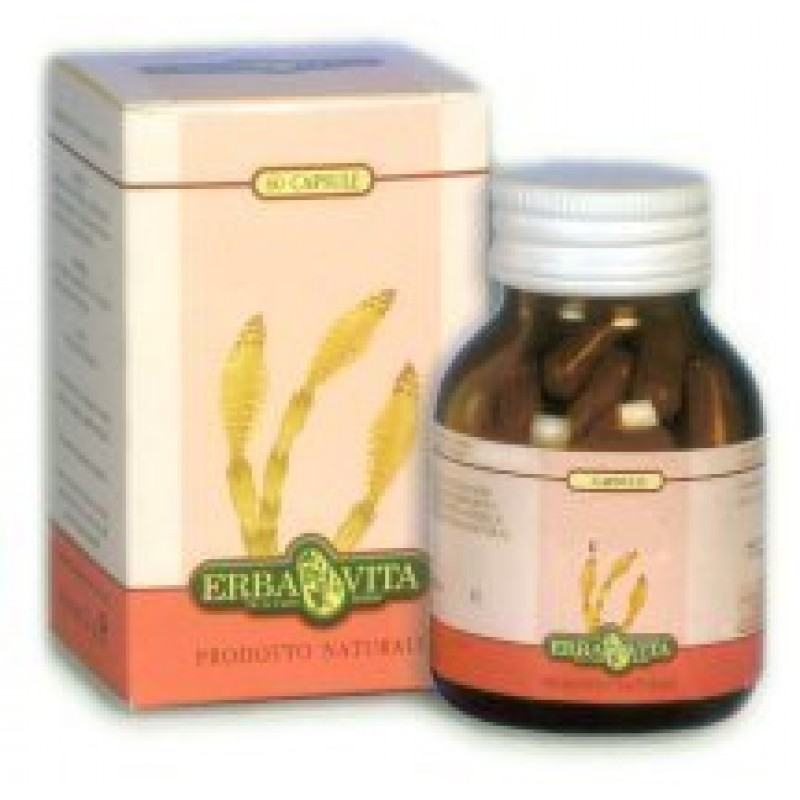 Erba Vita Desmodium Integratore Epatico 60 Capsule 400 mg