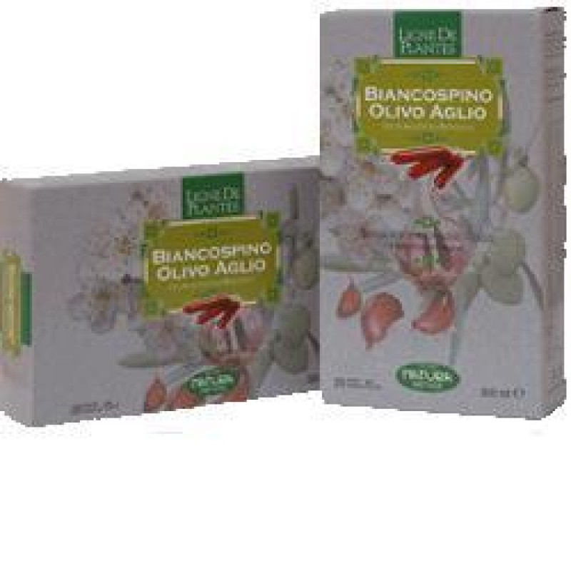 BIANCOSPINO OLIVO AGLIO 20 AMPOLLE 15ML