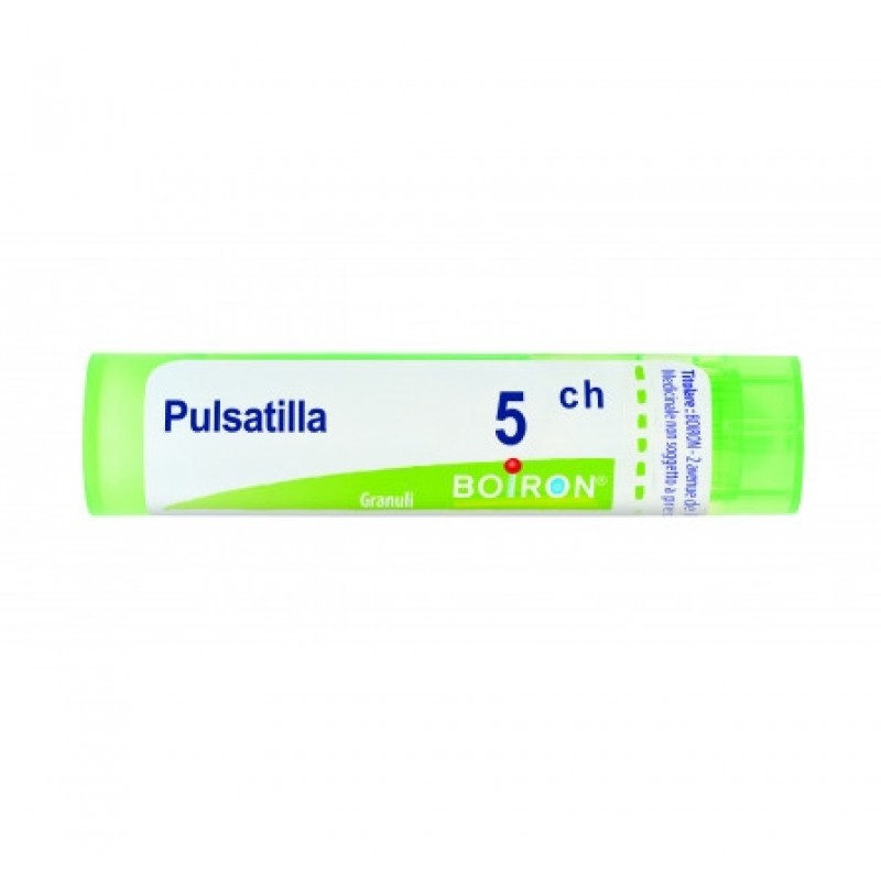 PULSATILLA*5CH 80GR 4G BO