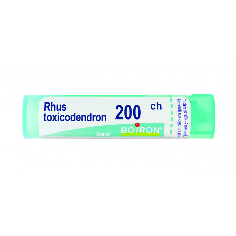 RHUS TOXICODENDRON 200CH 80GR