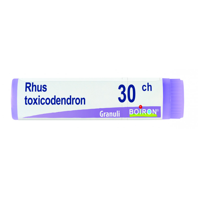 RHUS TOXICODENDRON*30CH GR 1G