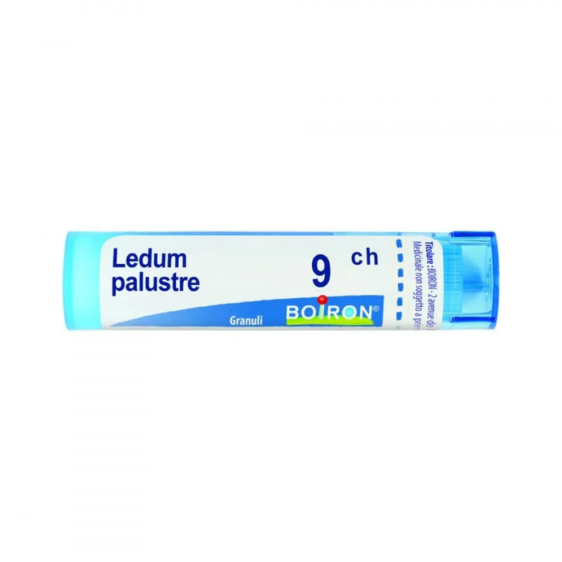 LEDUM PALUSTRE BOI*9CH 80GR 4G