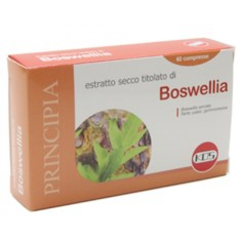 BOSWELLIA ESTRATTO SECCO 60 COMPRESSE 24 G