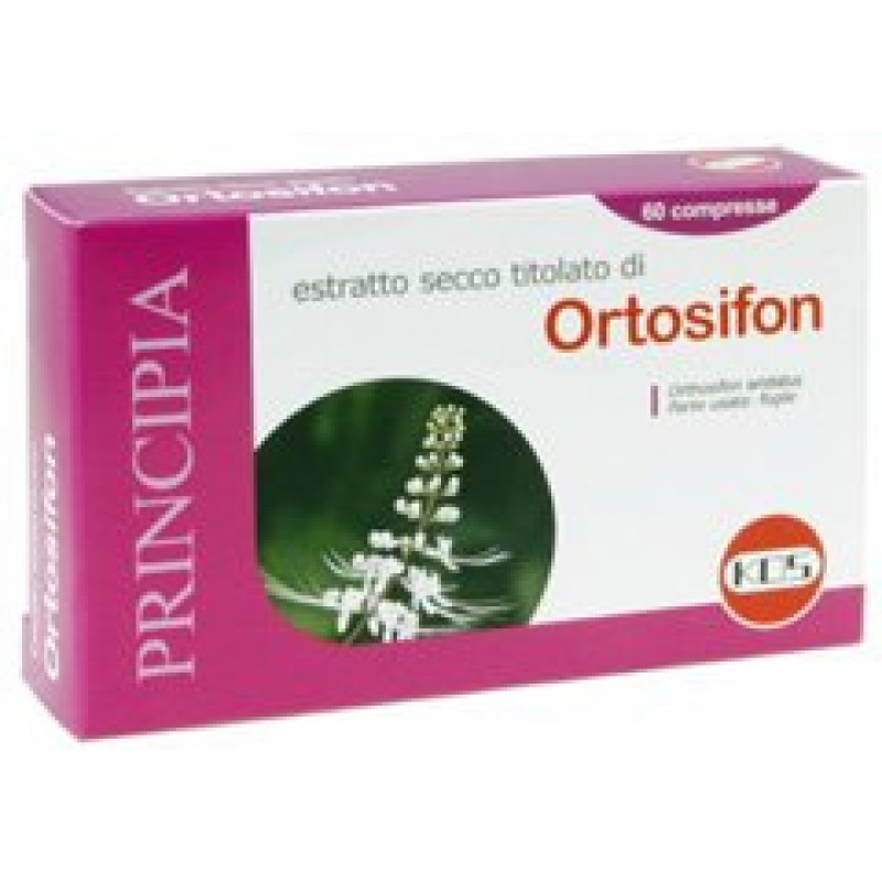 ORTOSIPHON ESTR SEC 60CPR