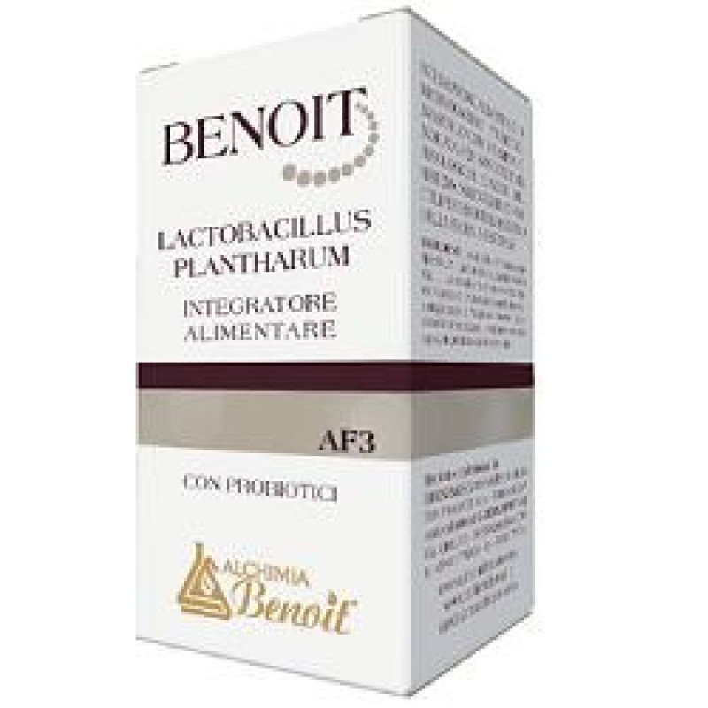 BENOIT Lactobacillus Plantharum con probiotici AF3