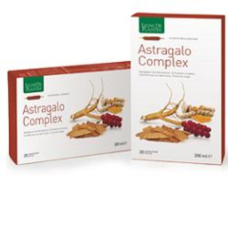 ASTRAGALO COMPLEX 20AB 15ML