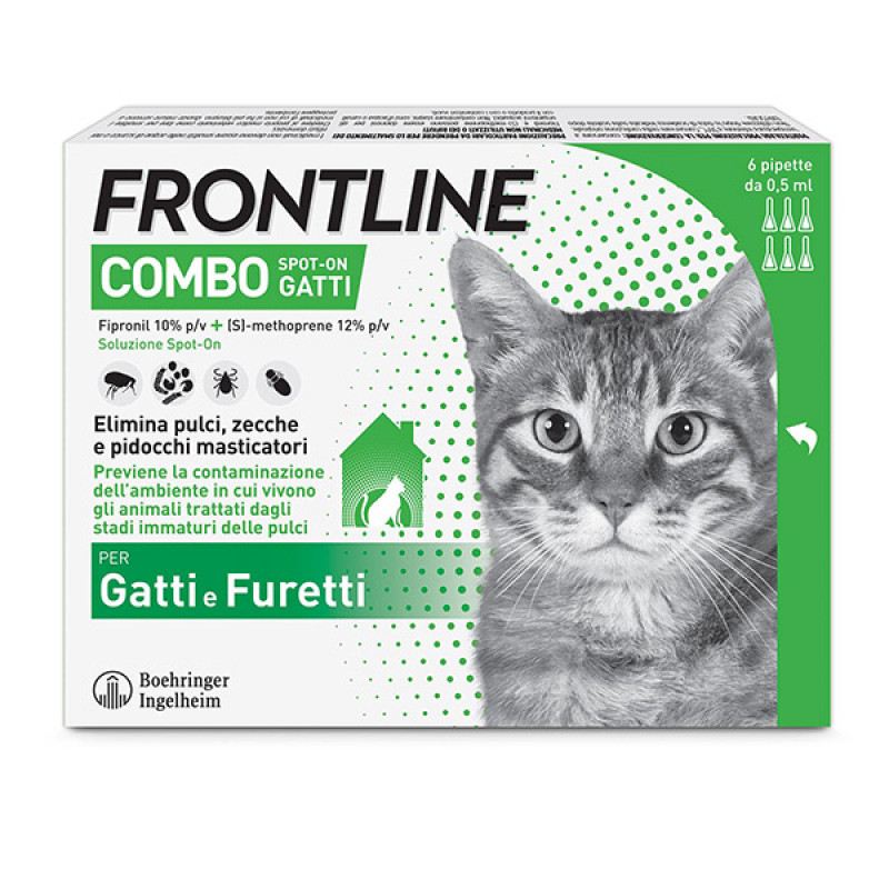 FRONTLINE COMBO SPOTON Gatti/ furetti 6 pipette