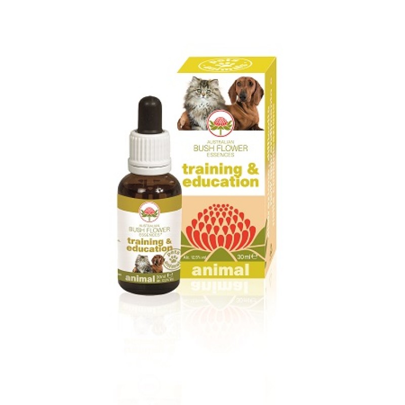 Australian Bush Flower Training & Education Memorizzazione e Coordinazione Fiori Australiani per Animali