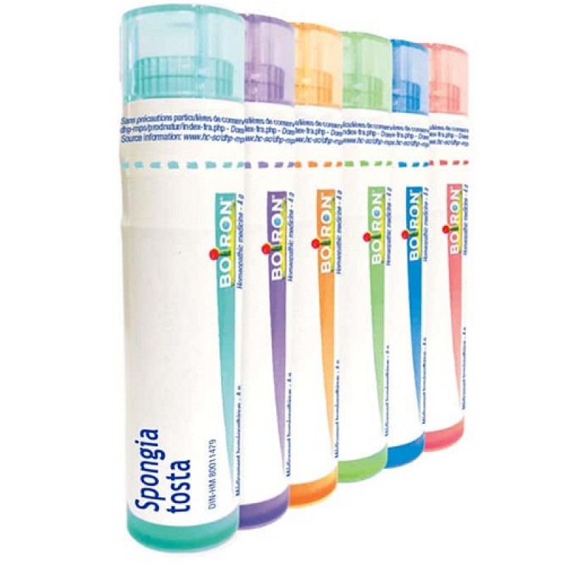 SPONGIA TOSTA 7CH GR BO
