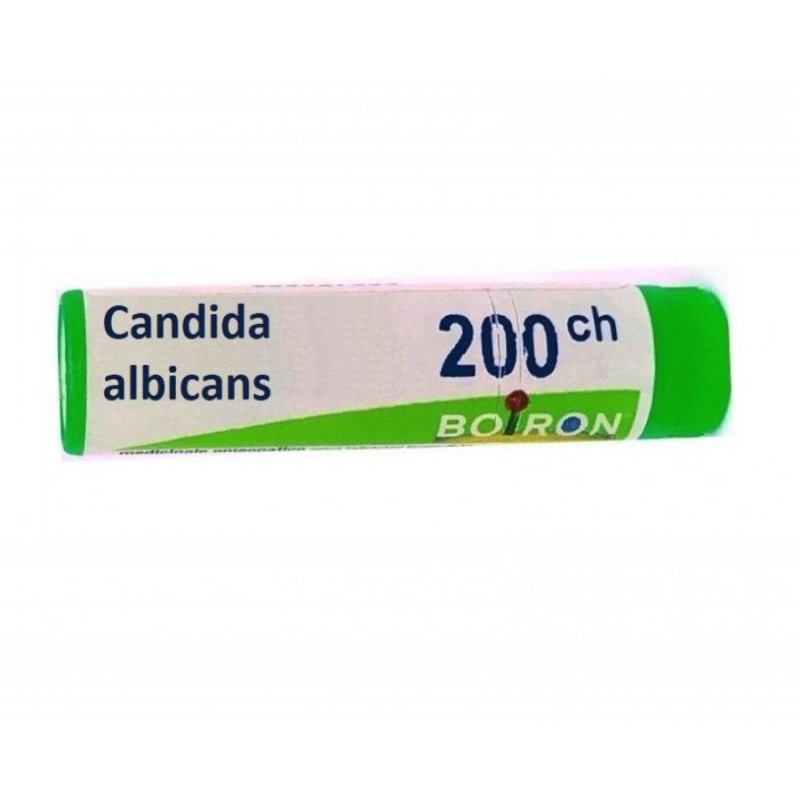 CANDIDA ALBICAN 200CH GL BO