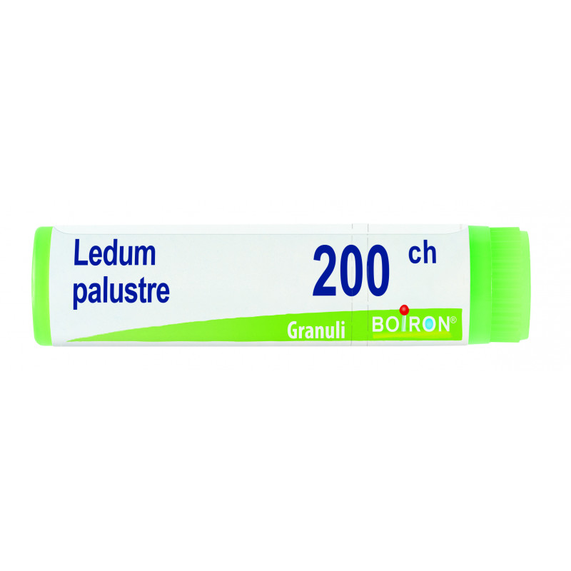 Boiron Ledum Palustre 200 CH Globuli Tubo