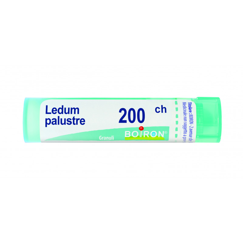 Boiron Ledum Palustre 200CH Granuli Tubo
