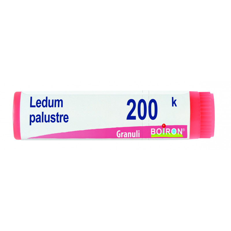 LEDUM PALUSTRE 200K GL BO
