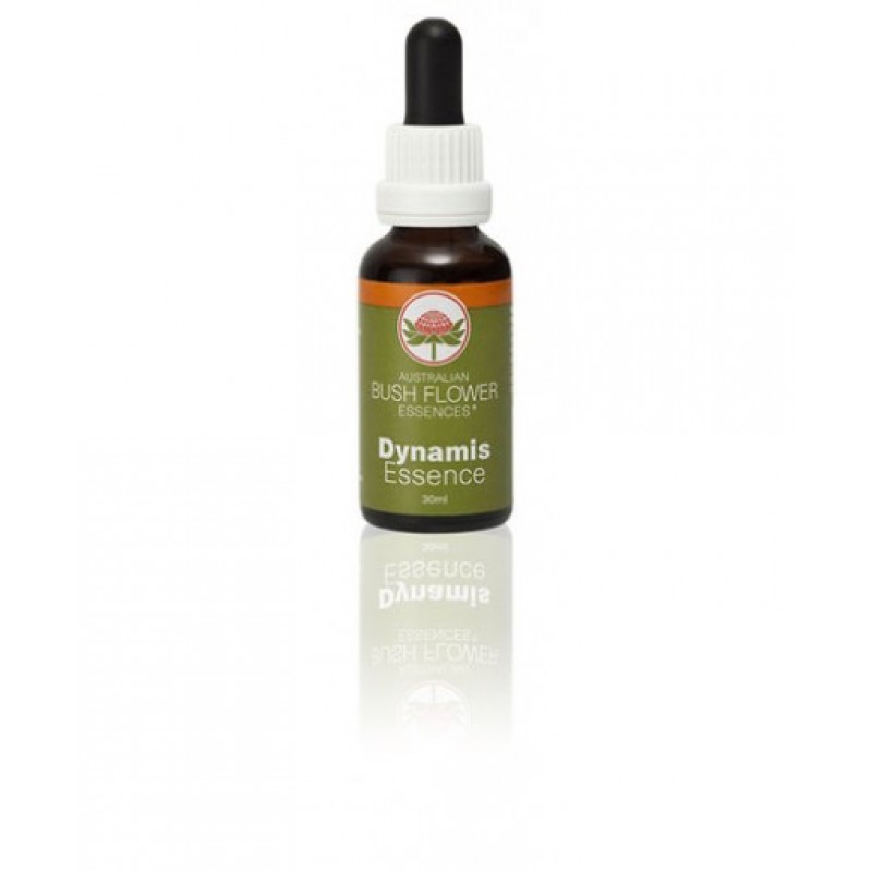 Dynamis 30 ml 1 pezzo