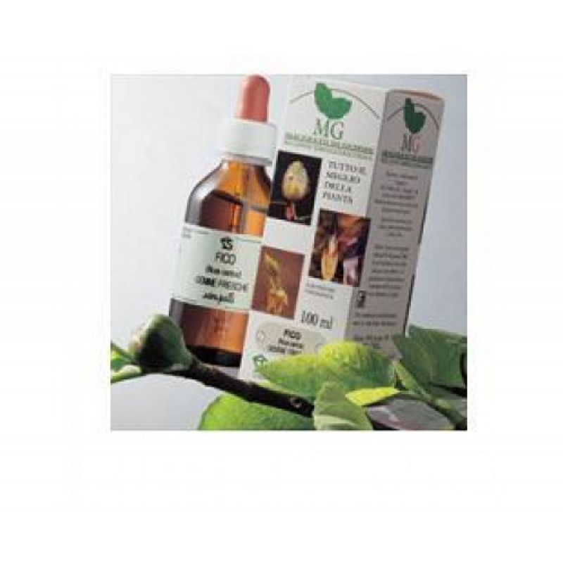 TIGLIO ARGENT 100ML MG