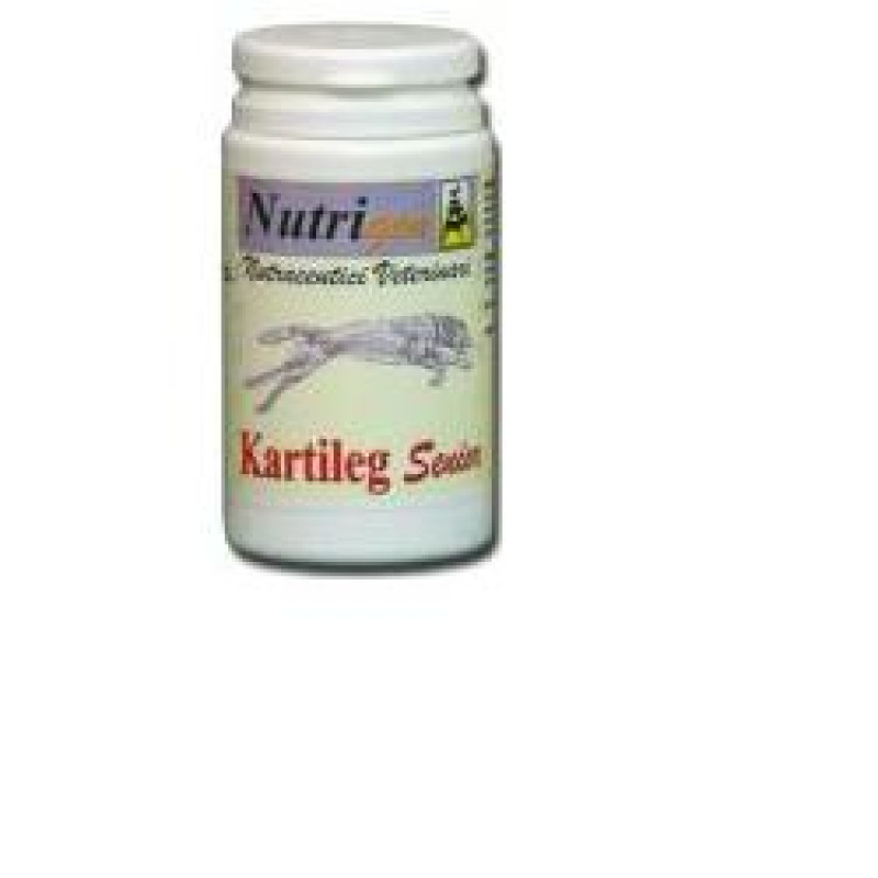 KARTILEG SENIOR 60TAV NUTRIGEN