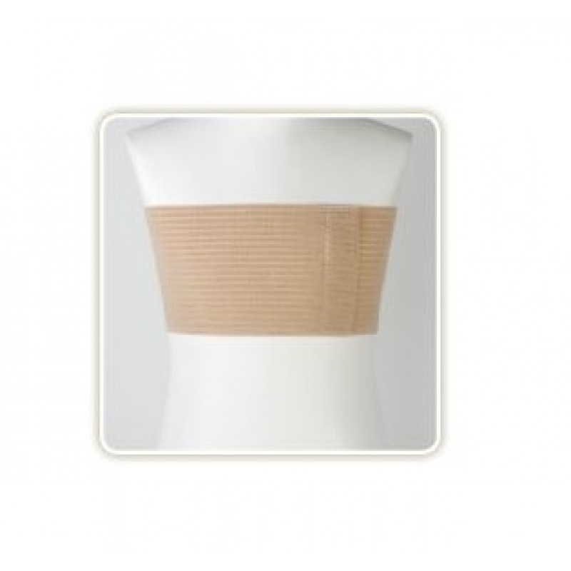 ALBERTA 18 Fascia Toracica Ernia Ombel.M (80)