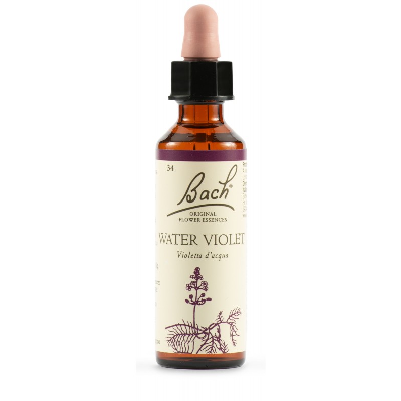 WATER VIOL BACH ORIG 20ML