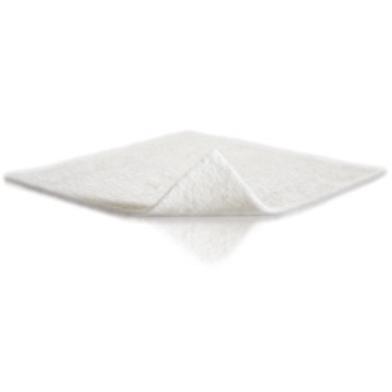 MELGISORB AG MEDICAZIONE 10X10