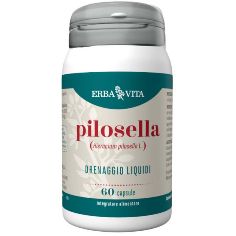 PILOSELLA 60 Cps 350mg EBV