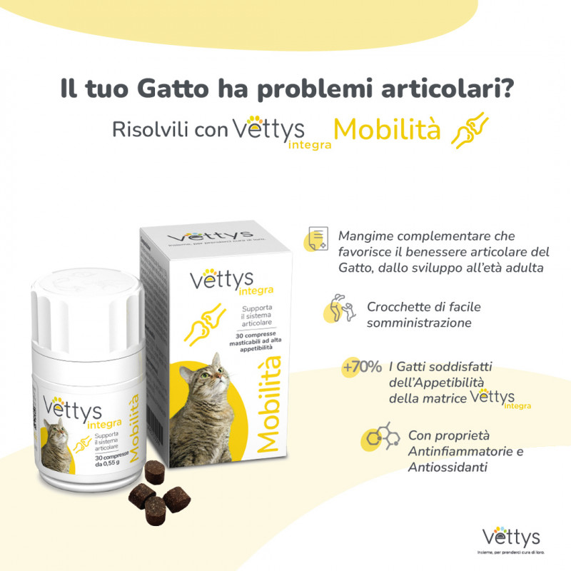 VETTYS Integra Mobilita'Gatto