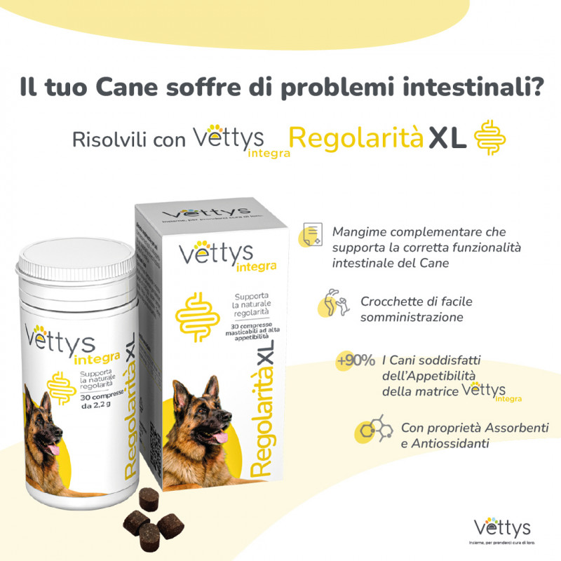 VETTYS Integra Regolar.XL Cane
