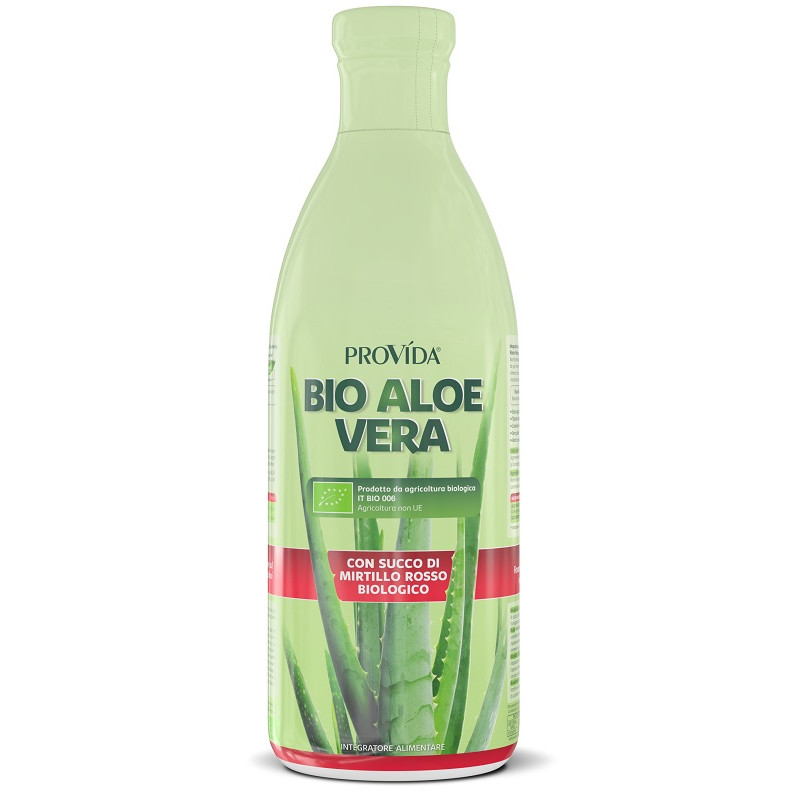 PROVIDA BIO ALOE MIRTILLO 1L