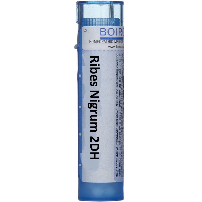 Ribes Nigrum 2DH Granuli