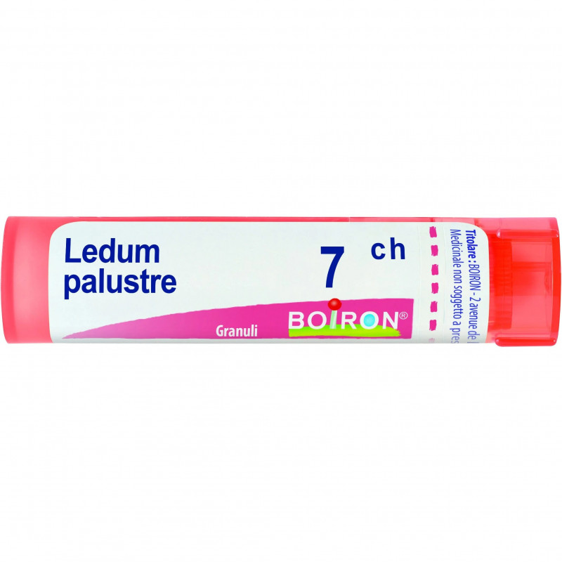 BO.LEDUM PALUSTRE 7CH 80GR 4G