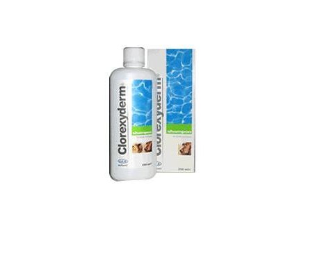 shampoo antimicotico gatto
