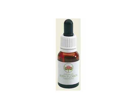 Bush Flower Essences Fiori Australiani Red Grevillea Gocce 15 ml