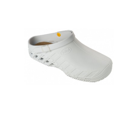 clog evo