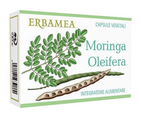 MORINGA OLEIFERA 24CPS