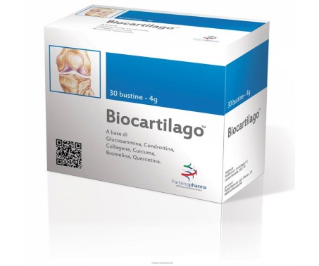 BIOCARTILAGO BS